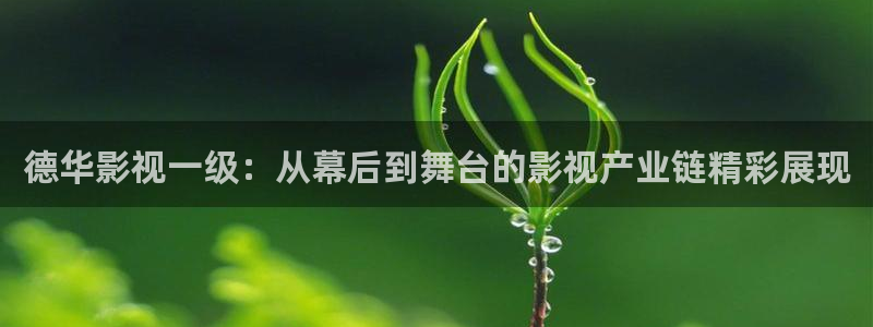97秋霞网