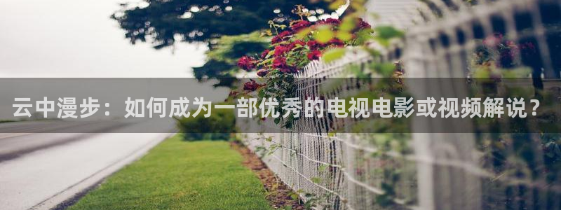 2019秋霞鲁丝片