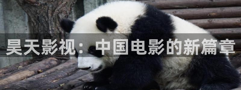 免费看秋霞