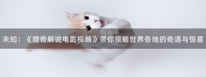 韩国秋霞网在线观看