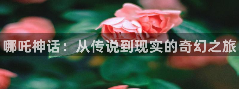 欧美秋霞网