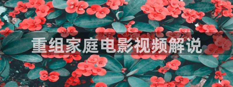 秋霞影视你懂的