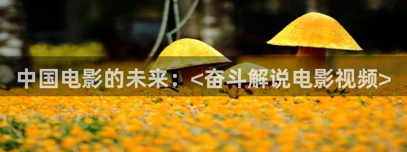 秋霞福利视频网