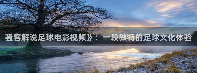 秋霞电影网日韩
