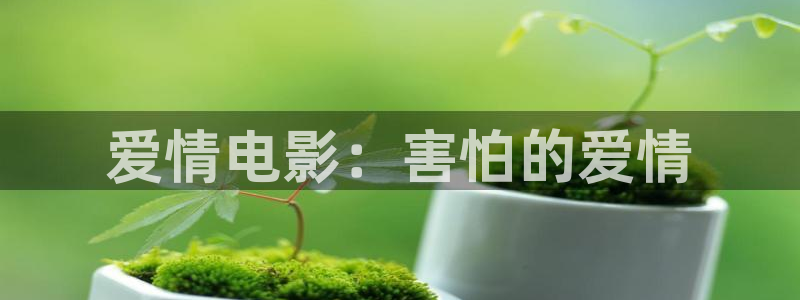 秋霞电影网在线视频