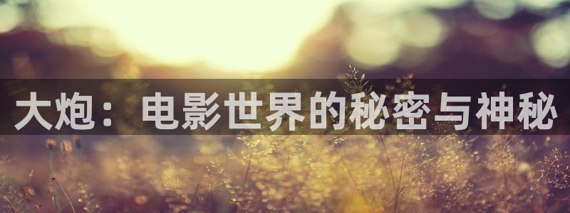 秋霞网电视剧