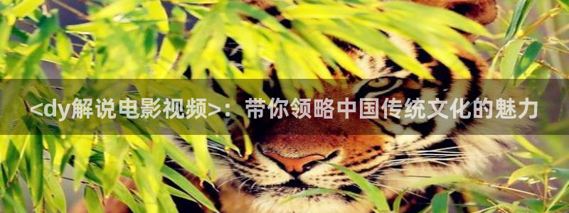 秋霞观影