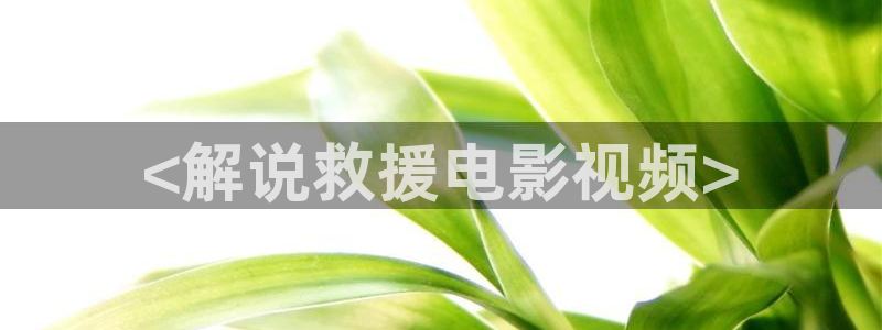 秋霞影伦理片