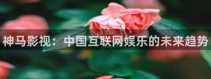 秋霞电影理论片