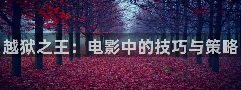 秋霞大片麻豆