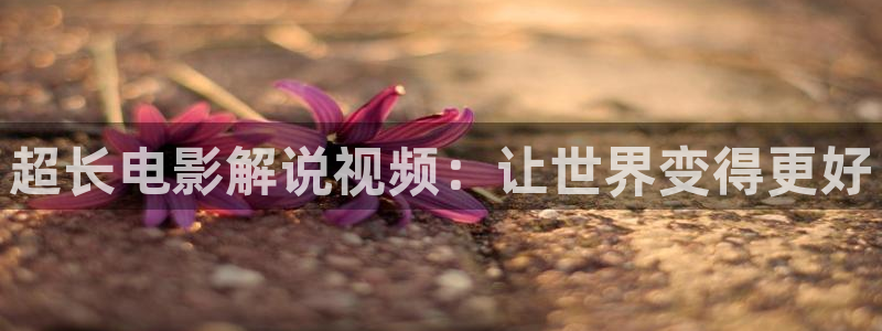 秋霞电影网免费播放