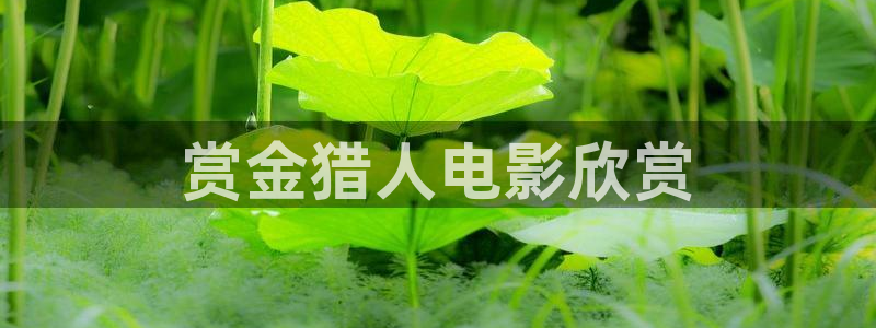秋霞电影黄色片