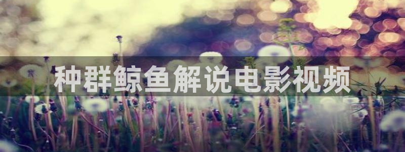 秋霞免费电影