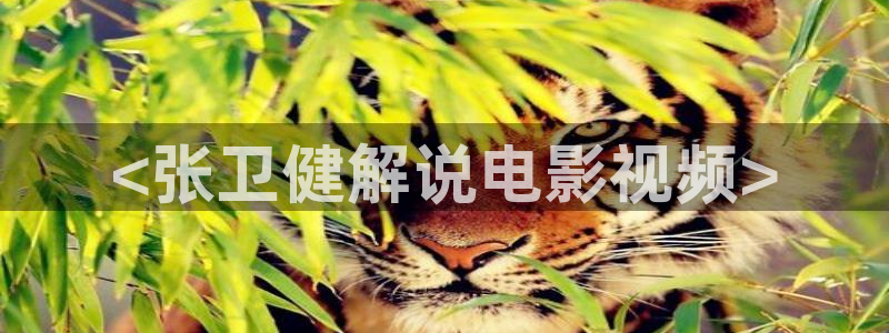 秋霞电影资源网
