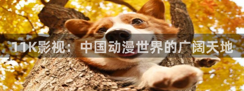 秋霞影院入口