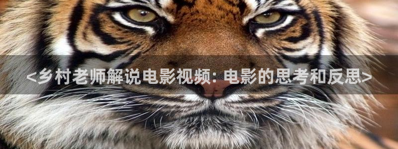 秋霞电影网手机版在线