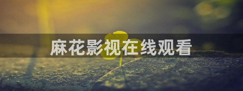 秋霞网理论