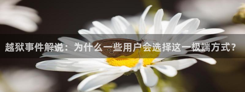 秋霞影院午夜老牛影院