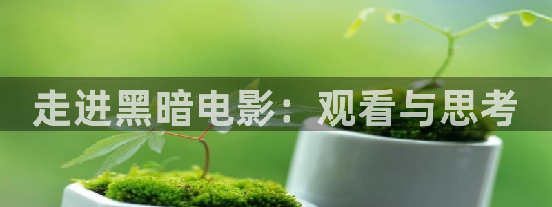 秋霞午夜免费观看视频