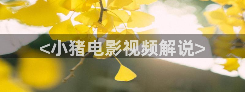 我看秋霞电影网