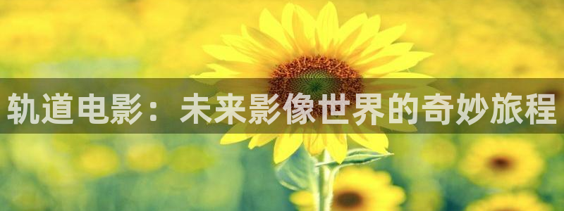 秋霞乱电影