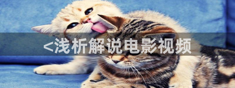 秋霞电影网站免费看