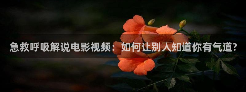 秋霞理论视频在线观看